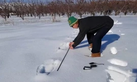 Paul Graves đo dấu chân bí ẩn trên tuyết.