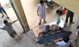 Các bệnh nhân ăn phải nấm độc dẫn đến suy thận cấp, tổn thương gan nặng.