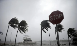 Bão Irma tiến vào nam Florida.