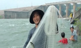 Mục kích người dân quăng lưới bắt cá khi hồ Trị An xả lũ