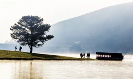 Thuyền gỗ hoạt động trái phép ở Suối Vàng.