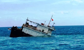 Ảnh nguồn Internet