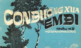 Ca khúc "Con đường xưa em đi" do sửa lời nên bị cấm lưu hành vĩnh viễn.