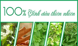 Bước đột phá dòng sản phẩm cao xoa chứa 100% tinh dầu thiên nhiên