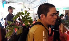 Giấc mơ sâm Việt