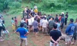 Sét 'đồ sát' 6 con trâu, người chăn bất tỉnh