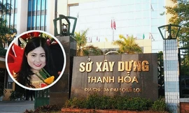 Vụ bổ nhiệm Trần Vũ Quỳnh Anh: Nhiều tổ chức, cá nhân nhận kỷ luật