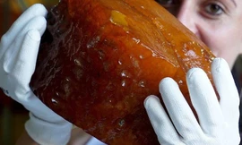 Khối hổ phách nặng 2,36kg mới được tìm thấy.