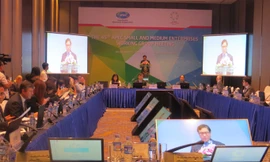 Ông Nguyễn Huy Đông - Thứ trưởng Bộ Kế hoạch và Đầu tư Việt Nam phát biểu khai mạc hội nghị.