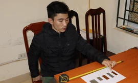 Nhìn lại các vụ bạo hành trẻ em: Khi cha mẹ 'đồng điệu' với kẻ khác máu tanh lòng