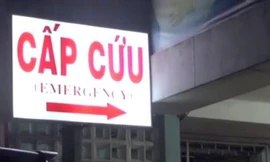 Nhiều người nhập viện vì ăn Chocolate chứa chất gây ảo giác 