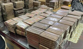 Thu giữ hơn 8 nghìn điếu xì gà không tem mác