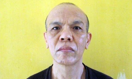 Làm giả giấy tờ vay hơn 8 tỷ đồng của ngân hàng