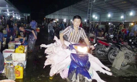 Thịt lợn giết mổ ở Hà Nội chủ yếu dùng xe máy để chở, không có thùng kín Ảnh: Phạm Anh