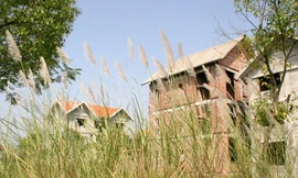 Những vùng đất 'chết' sau 5 năm mang danh Hà Nội