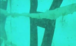 Vật thể được cho là phần đuôi.