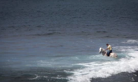 [ẢNH] Người dân Tây Ban Nha 'lướt' biển bằng ngựa