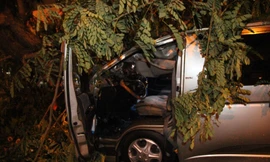 Chiếc xe ô tô bị đè bẹp