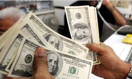 Kiến nghị hạ lãi suất tiền gửi ngoại tệ