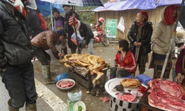 Trâu, nghé chết rét được bà con bán vội như cho.