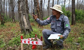 Đội trưởng Ngô Thiện Khiết trong một nhiệm vụ của dự án RENEW. Ảnh: Hoàng Táo