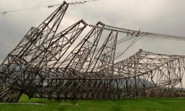 3 cột điện đổ dây chuyền.