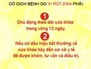 Việt Nam xét nghiệm 83 trường hợp có biểu hiện giống vi rút Zika
