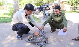 Nhà chức trách kiểm tra một bộ bẫy của nhóm thợ săn. Ảnh: Hoàng Táo