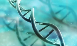 Nhiều gene vẫn hoạt động sau khi cơ thể chết nhiều ngày. Ảnh minh họa: Wordpress.