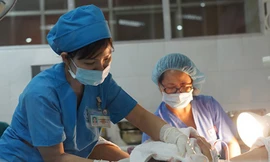 Những công dân đầu tiên năm Bính Thân