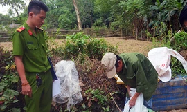 Số bột hóa chất tăng trọng cho mỡ bị công an thu giữ. Ảnh: N.T.