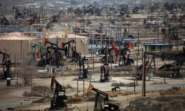 Gánh nặng cân bằng thị trường dầu đang dồn lên vai các nhà sản xuất dầu đá phiến Mỹ (Ảnh minh họa)