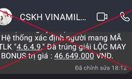 Người phụ nữ có hoàn cảnh khó khăn bị dẫn dụ vào bẫy lừa đảo