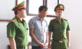 Bắt khẩn cấp chủ tịch xã làm ngơ cho khai thác đất rừng trái phép 