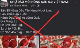 Tìm người bị đối tượng ở Sơn La dụ mua nông sản rồi chiếm đoạt tiền cọc 