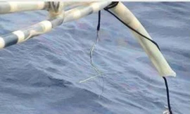 Trung Quốc phải bồi thường thiệt hại cho Việt Nam