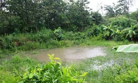 Cắt ‘của quý’ của chồng vứt xuống ao vì ghen