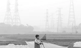 EVN khốn khổ vì... diều