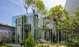 Mê mẩn ngôi nhà dùng dây leo làm nội thất như trong trong truyện cổ tích