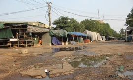 Nhếch nhác, hoang tàn dự án chợ đầu mối Minh Khai 20 năm vẫn 'trên giấy'