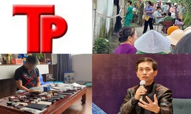 Bản tin Hình sự: Nguyên nhân cha già thay con gái nhận tội giết chồng