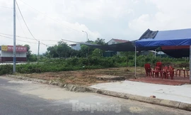 Đất nền ế ẩm, môi giới đi bán nước mía và buôn rau 