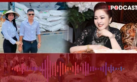 HÌNH SỰ: Thủy Tiên và Công Vinh có đòi được tiền bồi thường từ bà Nguyễn Phương Hằng?
