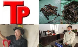 Bản tin Hình sự: Bé gái bị bố xâm hại sau khi mẹ mất