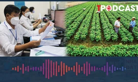 Vì sao cán bộ, công chức không được cấp đất nông nghiệp?