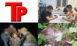 Bản tin Hình sự: Tình tiết mới trong vụ phát hiện thi thể phân huỷ trong vườn trái cây