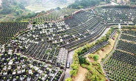 Đất nghĩa trang gấp đôi giá nhà, giá hơn 1 tỷ đồng/m2