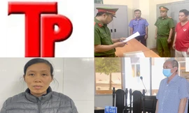 Bản tin Hình sự: Chân dung cựu phó chánh án yêu cầu nữ bị cáo hối lộ tiền và tình 