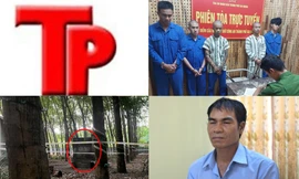 Bản tin Hình sự: Hé lộ nguyên nhân chủ quán hát tử vong trong nhà vệ sinh bỏ hoang giữa rừng