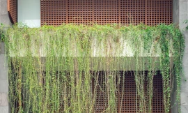 Giải pháp 2 lớp đặc biệt giúp nhà hướng Tây đã đẹp còn mát quanh năm